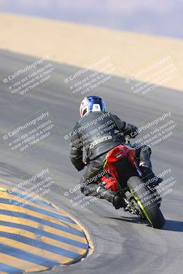 media/Nov-12-2023-SoCal Trackdays (Sun) [[5d1fba4e7d]]/Turn 10 Backside (115pm)/